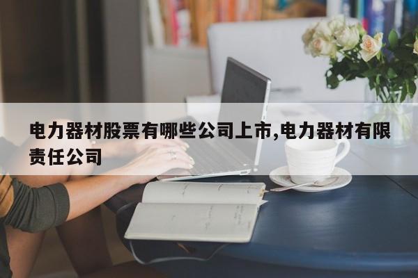 电力器材股票有哪些公司上市,电力器材有限责任公司